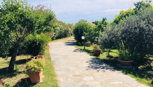 Le Rose di Porto Taverna 80 mt spiaggia - Photo 5