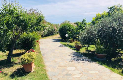 Le Rose di Porto Taverna 80 mt spiaggia - Foto 5