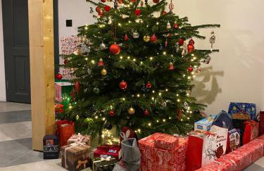 Grudza83 Bikepoint - Foto 8