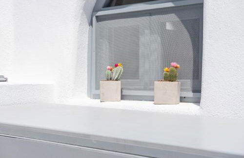 Argyro and Diogenis - Foto 33