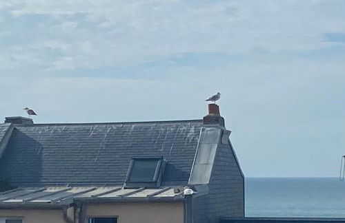 Chez Zivou au pied de la plage - Foto 37