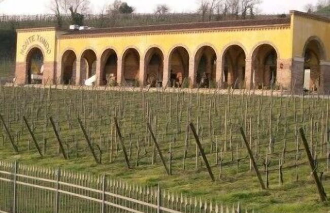 Monte Tondo - Foto 37