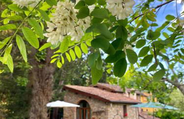 Berenice in Chianti - Authentic Tuscan Country House - Foto 40