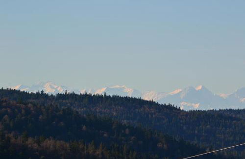 Fichtenstüble - Foto 14