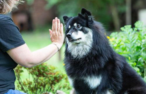 Villa Kunterbunt, Gemütlichkeit am Waldesrand - Foto 14