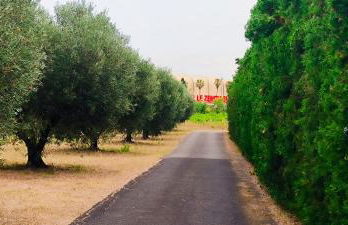 appartement proche zenith - Foto 13