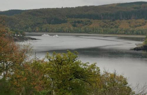 Sonnenschein am Rursee - Foto 33