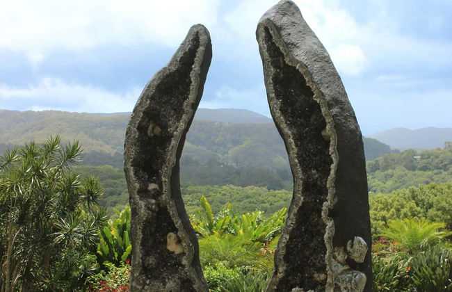 Visite dans Byron Bay - Photo 1