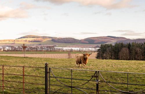 Errol Park - Grand Stately Home & Views - Photo 14