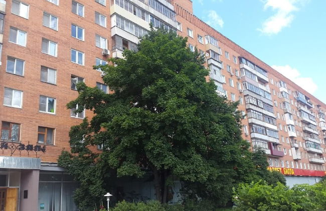 Inndays on Krasnoarmeiskiy 16 - Photo 12