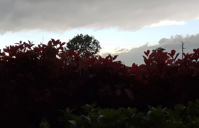 Cascina Moretta - Foto 17