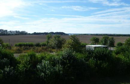 Fuchs und Elster - Foto 60