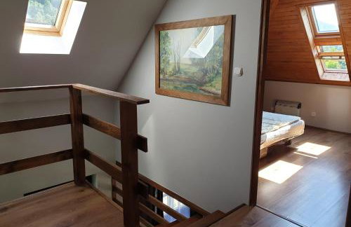 Chata pod Śnieżnikiem - Foto 12