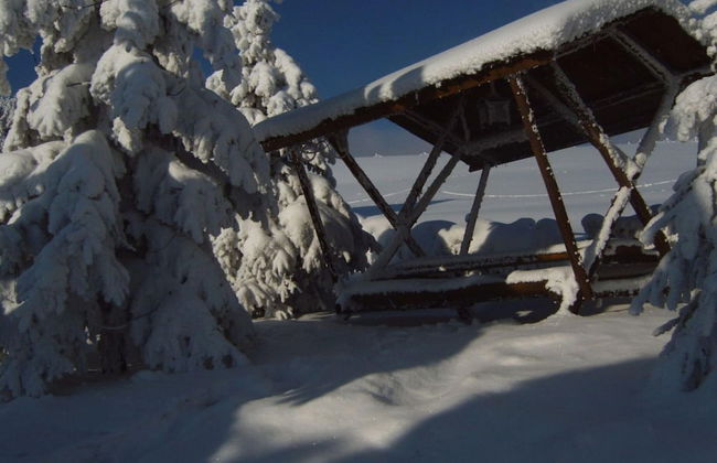 Holiday Apartment Family Kreissl - Foto 14