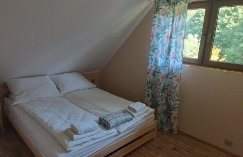 Szlacheckie Domki - Foto 18