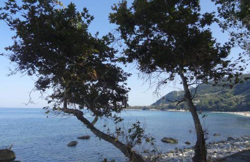 Germanis House - Foto 8