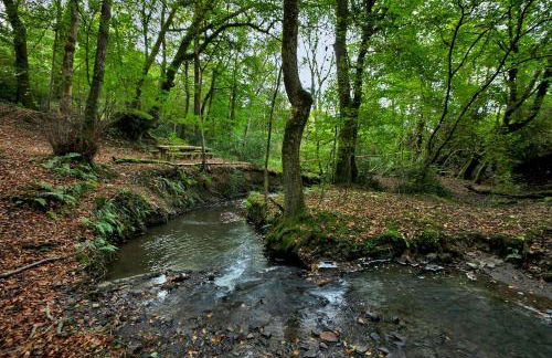 Colleton East Wing - Foto 22