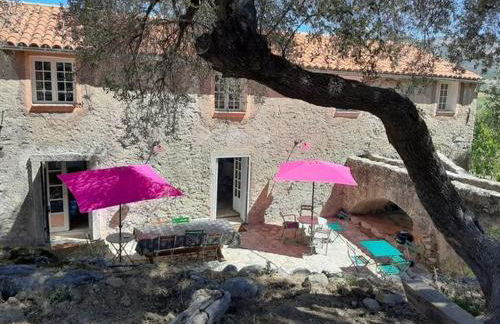 Le Moulin de l'Ostriconi - Foto 5