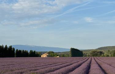 Moun Cabanoun - Photo 22