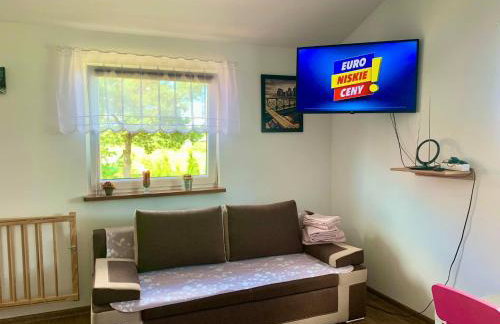 Mazurski dom Brejdyny Sauna i Bania - Foto 69