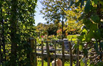 Ferienwohnung Trapp - Foto 18