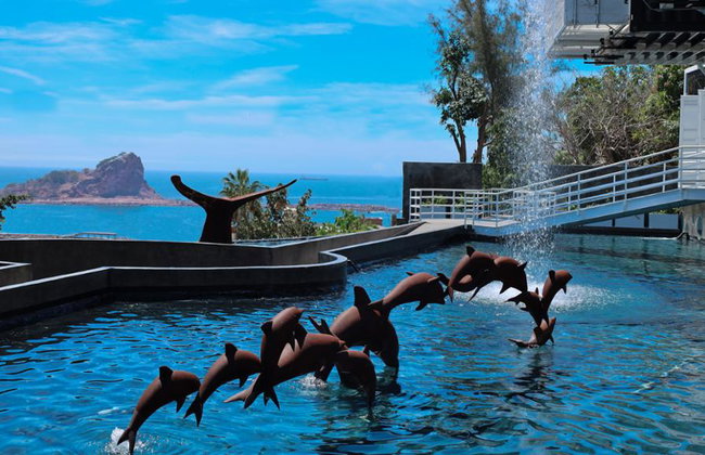 Munba: Museo Nacional de la Ballena - Tour - Foto 1