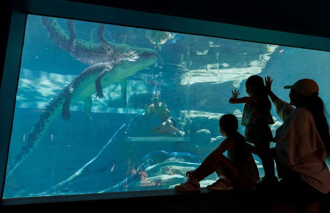 Biglietti per la Crocosaurus Cove - Foto 5