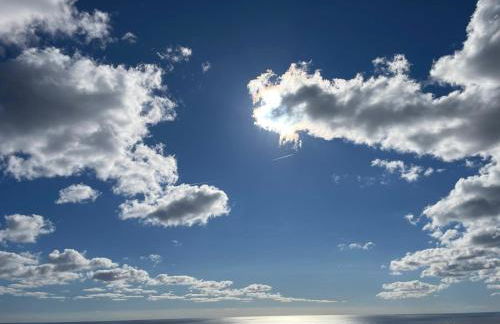 IL VIGNETO - Foto 37