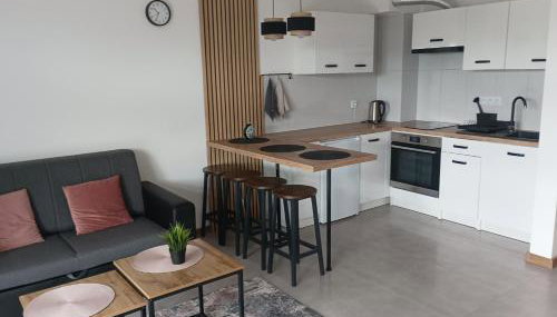 Wczasy Chmielno Apartament PUDROWY - Foto 4, stove