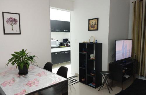 Aconchegante Apto Praia do Centro - Foto 35