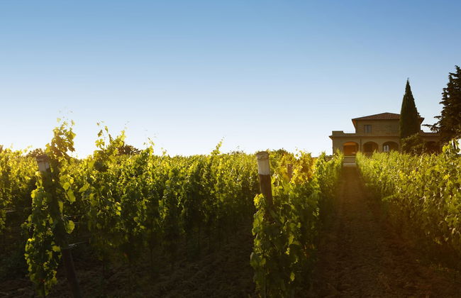 Agriturismo Poggio al Tufo - Photo 37