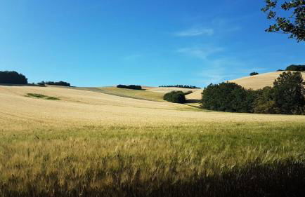 Agriturismo Forestale Luti - Foto 122