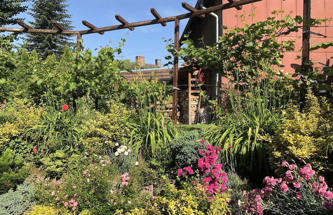 Ferienwohnung Dettum - Foto 58