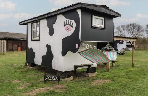 Bluebelle Cow Shed 5 - Foto 1