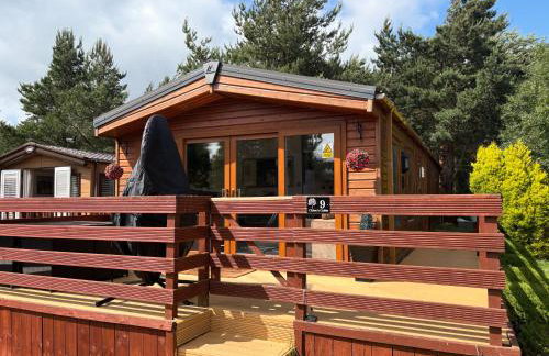 Chloe Cabin - Photo 11