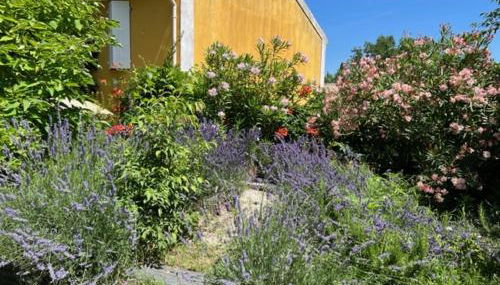 Mas de silvacane - Foto 4, Garden