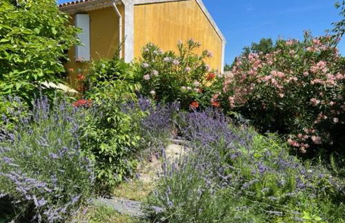 Mas de silvacane - Foto 4