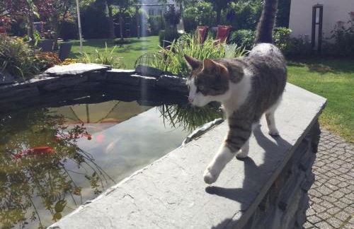 Wein- u. Gästehaus St. Maximin - Foto 24