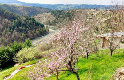 Gîte Gournier's Sweet Home - Foto 38