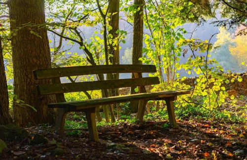 Ferienwohnungen Bauer - Auszeit mit Ausblick - Foto 12