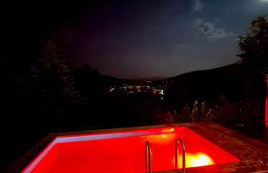 Willa Leśna - Foto 44