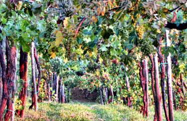 Charming studio with air conditioning in Gragnano - 35 sqm - Foto 21