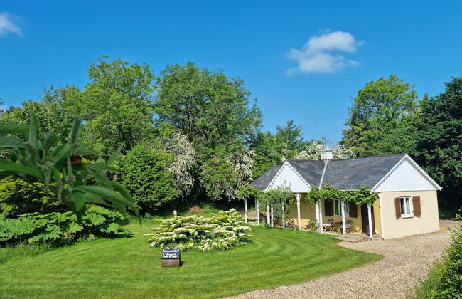 Glyndwr Vineyard - Foto 33