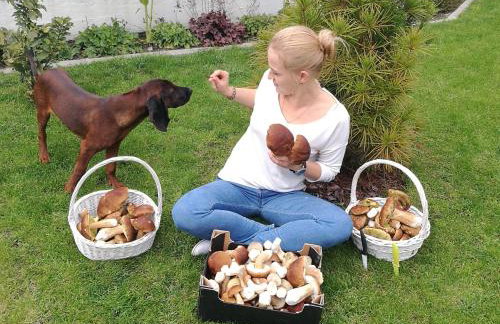 Serce Puszczy Wiartel - Foto 26