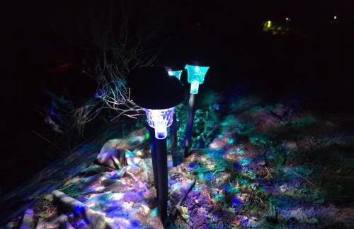 Dark Paradise - Foto 7