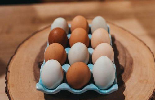 Majestic A-Frame on 5 acres! - Foto 34