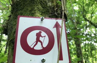 Les Chenevières - Foto 35