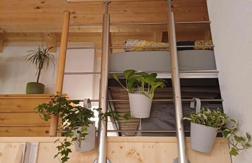 Bei Hillers - Photo 15