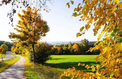 Ferienwohnung im Erzgebirge - Foto 12