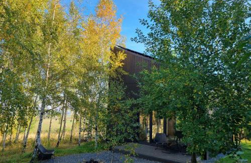 Drewniany dom w brzozowisku - Foto 11